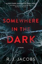 Cover art for Somewhere in the Dark: A Novel