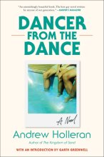 Cover art for Dancer from the Dance: A Novel