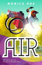 Cover art for Air: A Novel