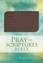 Cover art for GW Pray the Scriptures Bible Brown, Lord's Prayer Design Duravella