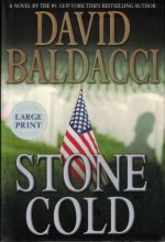 Cover art for Stone Cold (Camel Club)