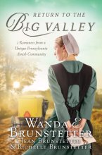 Cover art for The Return to the Big Valley