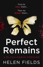 Cover art for Perfect Remains