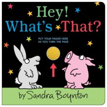 Cover art for Hey! What's That?