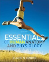 Cover art for Essentials of Human Anatomy & Physiology with MasteringA&P, 10th Edition