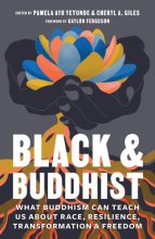 Cover art for Black and Buddhist: What Buddhism Can Teach Us about Race, Resilience, Transformation, and Freedom