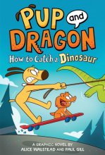 Cover art for How to Catch Graphic Novels: How to Catch a Dinosaur