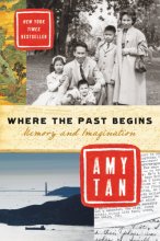Cover art for Where the Past Begins: Memory and Imagination