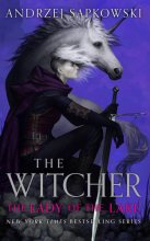 Cover art for The Lady of the Lake (The Witcher, 7)