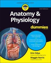 Cover art for Anatomy & Physiology For Dummies (For Dummies (Math & Science)) (For Dummies (Lifestyle))