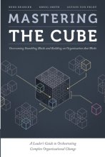 Cover art for Mastering the Cube: Overcoming Stumbling Blocks and Building an Organization that Works