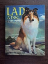 Cover art for Lad A Dog