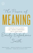 Cover art for The Power of Meaning: Finding Fulfillment in a World Obsessed with Happiness