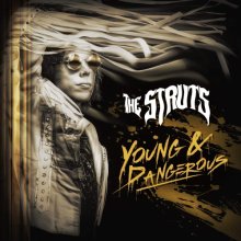 Cover art for Young&Dangerous[LP]