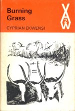 Cover art for Burning Grass