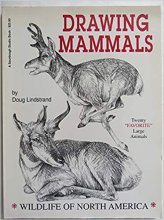 Cover art for Drawing Mammals (Sourdough Studio Book)