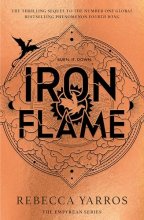 Cover art for Iron Flame