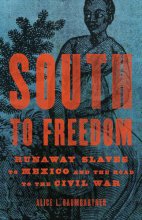 Cover art for South to Freedom: Runaway Slaves to Mexico and the Road to the Civil War