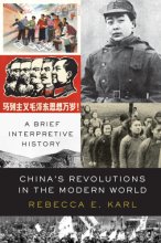 Cover art for China's Revolutions in the Modern World: A Brief Interpretive History