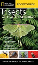 Cover art for National Geographic Pocket Guide to Insects of North America