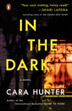 Cover art for In the Dark: A Novel (A DI Adam Fawley Novel)