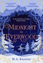 Cover art for Midnight in Everwood