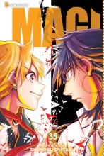 Cover art for Magi: The Labyrinth of Magic, Vol. 35 (35)