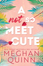 Cover art for A Not So Meet Cute (Cane Brothers, 1)