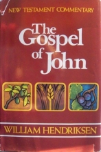 Cover art for New Testament Commentary Exposition of the Gospel According to John: Two Volumes Complete in One