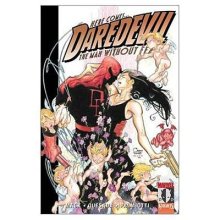 Cover art for Daredevil Volume 2: Parts Of A Hole TPB