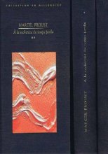 Cover art for À la recherche du temps perdu (Intégrale 3 volumes)