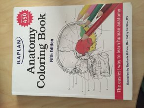 Cover art for Anatomy Coloring Book