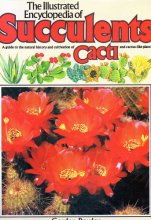 Cover art for The Illustrated Encyclopedia of Succulents (Salamander Book)