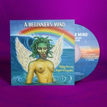 Cover art for A Beginner's Mind