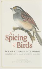 Cover art for A Spicing of Birds: Poems by Emily Dickinson (The Driftless Series)