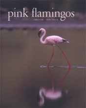Cover art for Pink Flamingos