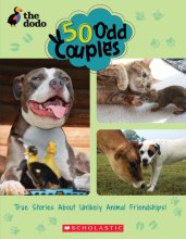 Cover art for 50 Odd Couples (The Dodo)