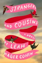 Cover art for Strangers and Cousins: A Novel