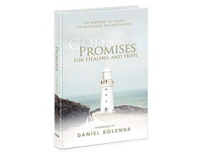 Cover art for God's Promises for Healing & Hope: THE HEARTBEAT OF HEAVEN FOR WHOLENESS AND RESTORATION