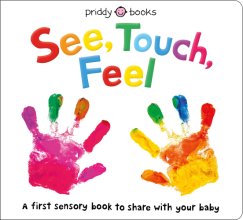 Cover art for See, Touch, Feel: A First Sensory Book