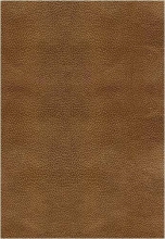Cover art for NKJV Study Bible