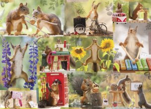 Cover art for Gettin Squirrelly Puzzle: 1000-piece