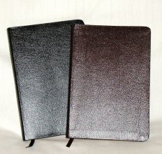 Cover art for Classic Soul Winners New Testament with Helps