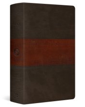 Cover art for ESV Large Print Personal Size Bible (TruTone, Forest/Tan, Trail Design)