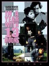 Cover art for In a Year With 13 Moons [DVD]