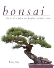 Cover art for Bonsai: The Art of Growing and Keeping Miniature Trees