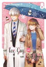 Cover art for The Ice Guy and the Cool Girl 02