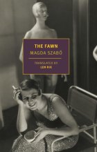 Cover art for The Fawn