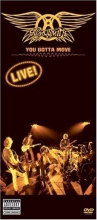 Cover art for Aerosmith - You Gotta Move 