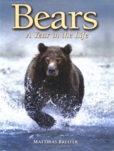Cover art for Bears: A Year in the Life